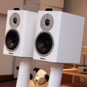 Dynaudio 丹拿 Xeo 4 无线HiFi音响系统
