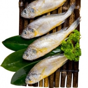 渔港 冷冻渤海小黄鱼 1200g 24-30条 *8件 139.6元包邮（多重优惠）