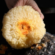 李食记 古田银耳干货 125g 9.9元包邮（需用券）