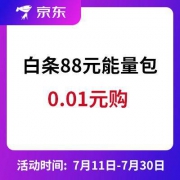 京东白条88元能量包