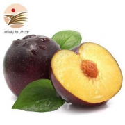 移动专享： 振豫 黑布林李子 9斤装 单果约100g