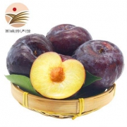 振豫 黑布林李子 9斤 单果约100g