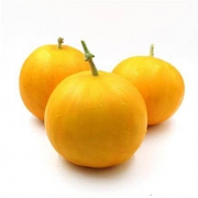 芬果时光 黄金蜜瓜 2.5kg 约2-4个装