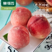 誉福园 当季新鲜水蜜桃 5kg 35.8元