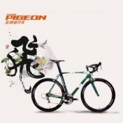FLYING PIGEON 飞鸽 收藏级手工打造 荷香公路车