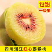 九蜜果 红心猕猴桃6个中大果（单果70~90g）