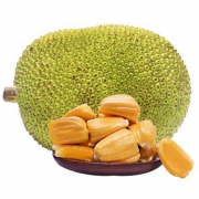 淳果一木 越南进口红肉菠萝蜜 7-9斤