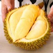 果驰 泰国金枕头榴莲 2kg