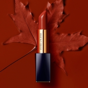 ESTEE LAUDER 雅诗兰黛 倾慕唇膏口红 3.5g #333 干枫叶色 *2件 360元包邮（双重优惠）