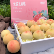 阳山 水蜜桃5斤12个礼盒装 券后￥49