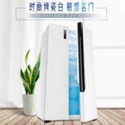 Hisense 海信 BCD-518WT 对开门冰箱 518升
