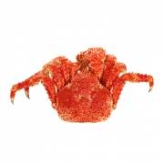 京东海外直采 熟冻智利雪蟹（整只）600g 盒装 *5件 230元包邮（需用券）