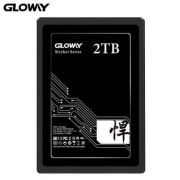GLOWAY 光威 悍将 SATA3 固态硬盘 2TB