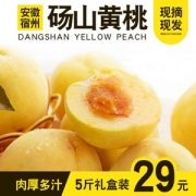 现摘现发，水果特工团 正宗砀山黄桃带箱5斤