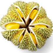 鲜蜂队 泰国金枕榴莲 2kg