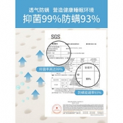 睡眠博士 泰国乳胶枕 2个装 110元19日0点抢半价