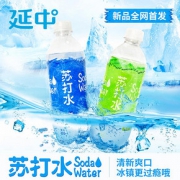 苏打水450ml*20瓶/箱夏日无糖汽水碳酸饮料饮品整箱 *2件