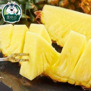 王小二 云南金钻凤梨 11斤