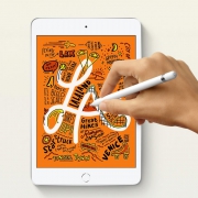 苹果 Apple iPad mini 5 2019年新款平板电脑（64G）