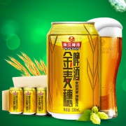珠江啤酒 金麦穗啤酒330ml*6罐