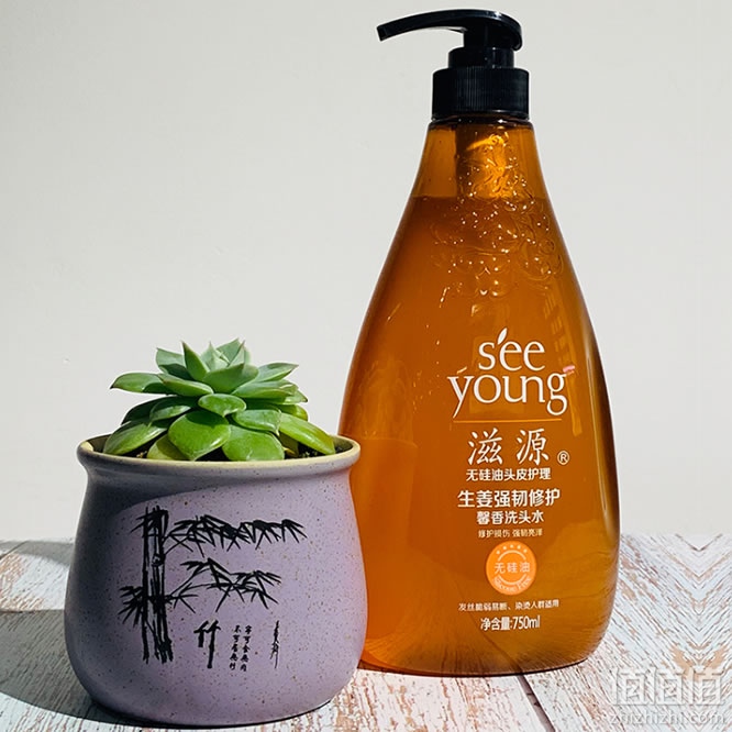 滋源生姜洗头水