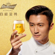 限地区：百威 金尊啤酒 500mlx12瓶x2件