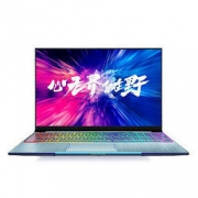 机械师 F117-B6CK猎空 15.6英寸窄边框游戏本（i7-8750H、8GB、256GB、GTX1060 6G独显）