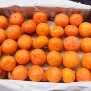 友果感 现摘新鲜甜柿子 5斤