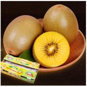 Zespri 佳沛 新西兰金奇异果