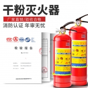 金快传 手提式车载干粉灭火器 1公斤  券后18.8元