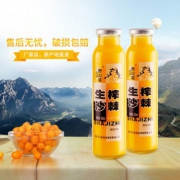 吕梁野山坡 野生生榨高浓度沙棘汁 300ml*8瓶 6.9折 ￥33