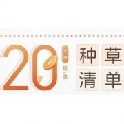 促销活动：网易严选 20元内超值种草清单