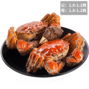 ￥65 御佰鲜 江苏六月黄大闸蟹8只 *2