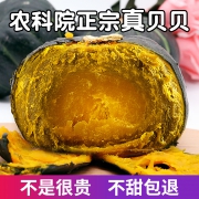 ￥14.9 贝贝南瓜板栗味10斤