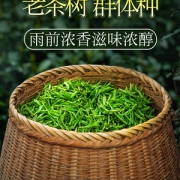 贡牌 2019雨前西湖龙井绿茶250g 券后35元包邮