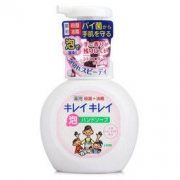 Lion 狮王 全植物 婴儿泡沫洗手液 250ml *5件