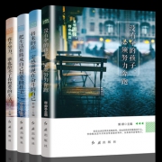 【抖音推荐】青春文学励志书籍4册