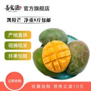 善食源 攀枝花凯特芒果 非甜心芒青芒果 8斤