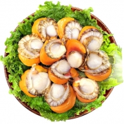 星渔 去壳扇贝肉 500g*3份 50元包邮（需拍3件）