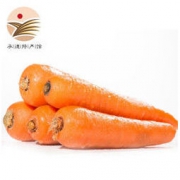 木兰围场 胡萝卜 2.5kg