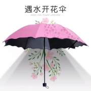 木耳花 迷你黑胶防晒伞 14.9元包邮