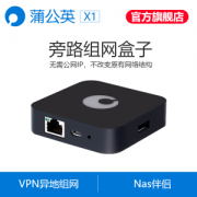 蒲公英X1 Nas云路由器组网盒子 私有云非常方便 108元包邮