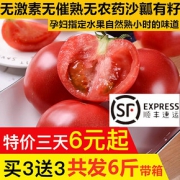 顺丰 隔日达 沙瓤多汁 甜甜西红柿 3kg