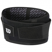 威尔胜（Wilson） WTBH-501 女士腰间盘突出护具  券后49元