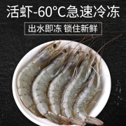 ￥64.9 海虾鲜活冷冻海鲜1600G 10-11cm
