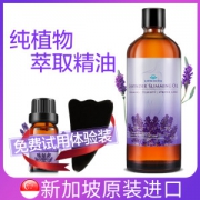 新加坡原装进口 Expressions 薰衣草按摩精油 100ml 69元包邮