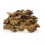水中坚果：沃江源 新鲜青菱角 5斤