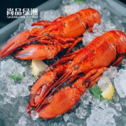 尚品绿洲 熟冻波士顿龙虾 450g/只 *2件