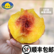 ￥24.6 黄金桃黄桃水果5斤
