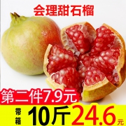 果森源 会理硬籽甜石榴 净重5斤 *2件 24.6元（合12.3元/件）